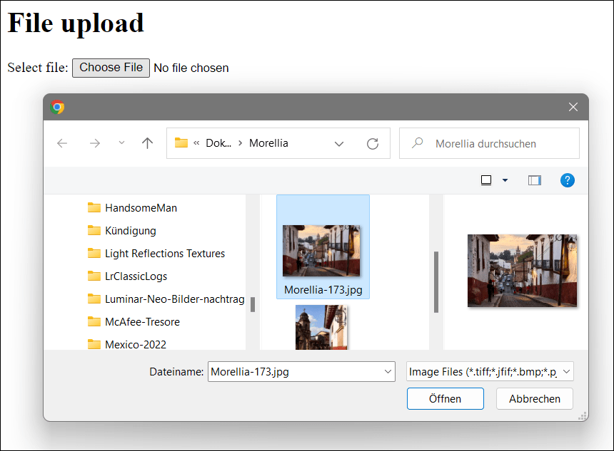 The File Upload Dialog Box during Execution