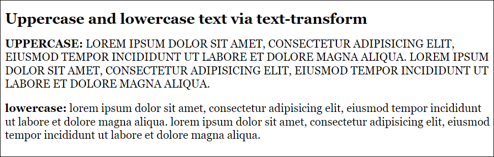 Uppercase and Lowercase Text via “text-transform”