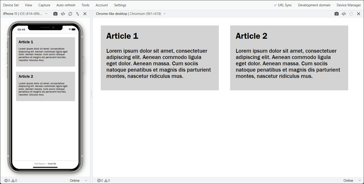 Example in Execution: The Mobile Version and the Desktop Version in the Blisk Web Browser