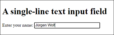 A Single-Line Text Input Field