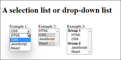 Dropdown and Selection Lists in HTML