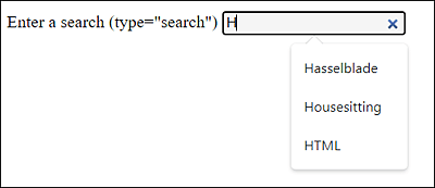 Search Input Field