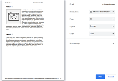 The print.css Version for the Printer (“media="print"”) in Use
