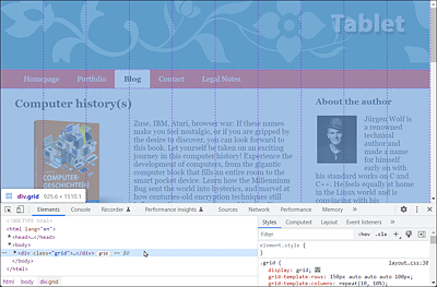 The Grid Is Also Displayed in the Developer Tools of the Web Browser