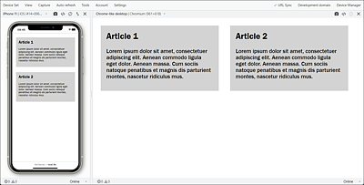 Example in Execution: The Mobile Version and the Desktop Version in the Blisk Web Browser